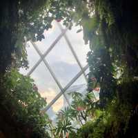 สวนขนาดยักษ์ที่สิงคโปร์ Gardens by the bay