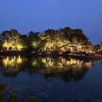 경주 야경 명소 동궁과 월지 