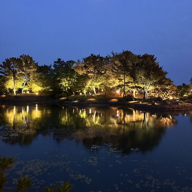 경주 야경 명소 동궁과 월지 
