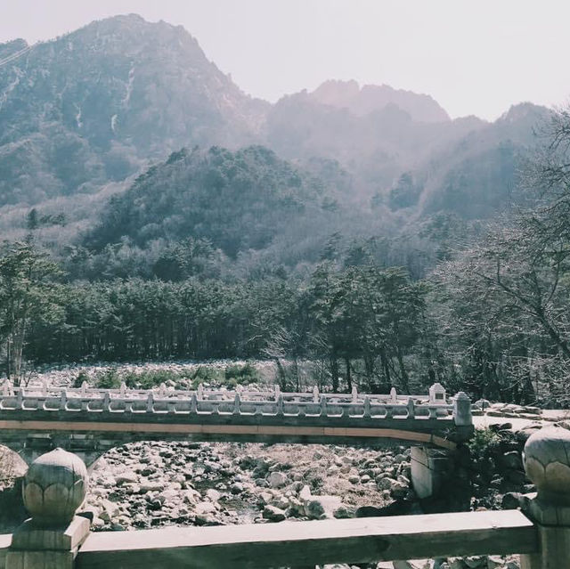 พาชมธรรมชาติ ที่อุทยานแห่งชาติซอรัคซาน