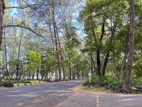 ตลาดเช้าของกินริมทะเล หาดในยาง ภูเก็ต