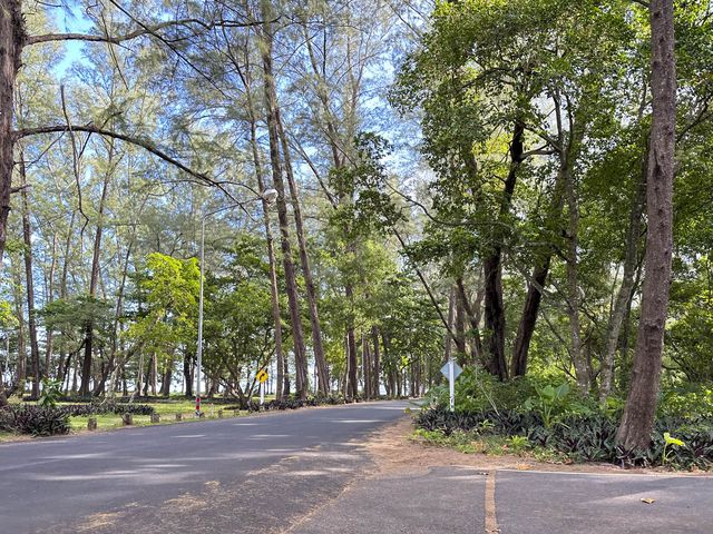 ตลาดเช้าของกินริมทะเล หาดในยาง ภูเก็ต