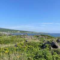 【北海道】離島の絶景！沓形岬公園ミニビジターセンター