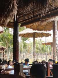 Lunch with Giraffe @ Phu Quoc Island 