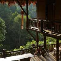 บ้านต้นไม้แม่แมะ Tree House Hideaway 🍃