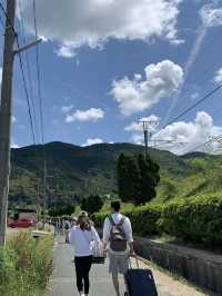🥹🌸太漂亮了吧! 在JR嵯峨嵐山站隨意拍都是美照!🌿