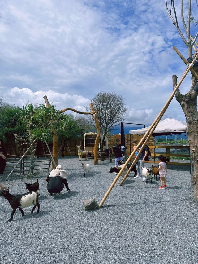 《宜蘭》礁溪西部荒野風新農場 餵食超多可愛小動物-回巢Homing