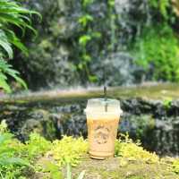 ร้านต้นไม้- กาแฟ