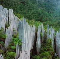 Mulu Magic - Borneo's Hidden Gem