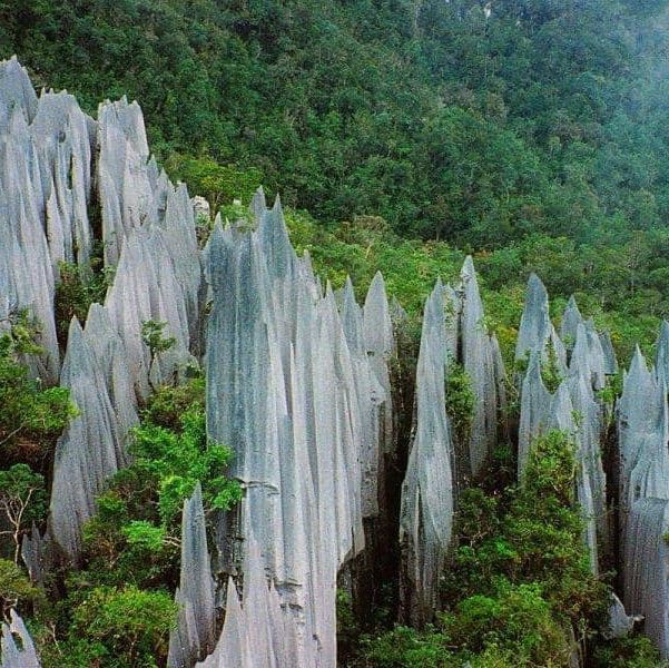 Mulu Magic - Borneo's Hidden Gem