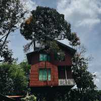 บ้านมังคุด Bann Munkud cafe  