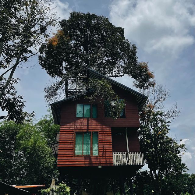 บ้านมังคุด Bann Munkud cafe  