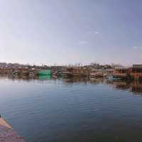 Jewel of Kashmir - Dal Lake 