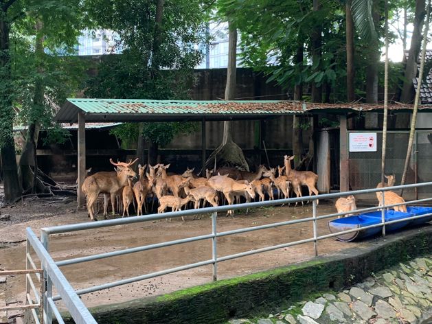 ベトナム　ベトナム観光　アジア最古のサイゴン動植物園で幻のトラを見てきた！
