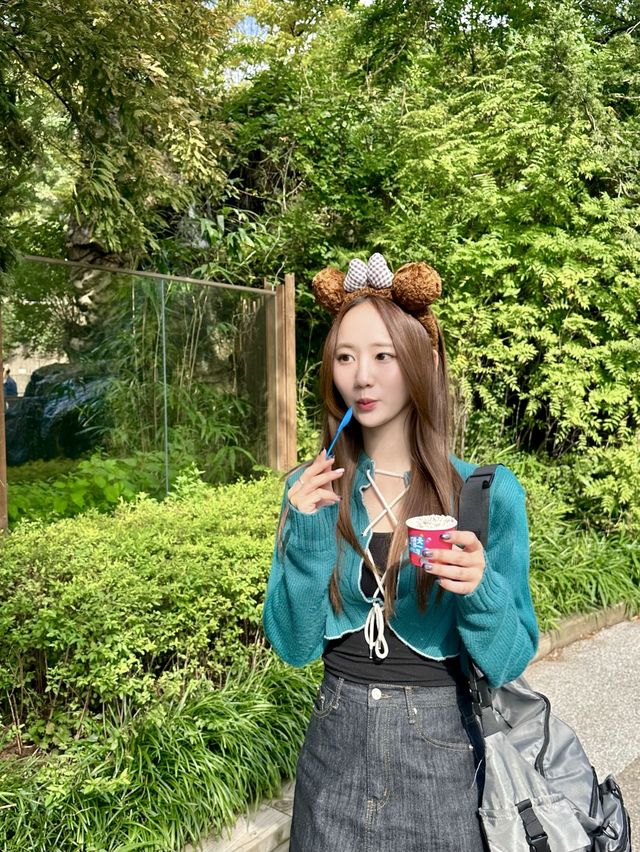 서울근교 최고의 놀이공원, 에버랜드 🎡