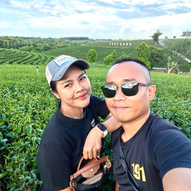 ไร่ชาฉุยฟง 🍃🌱🌿🍃