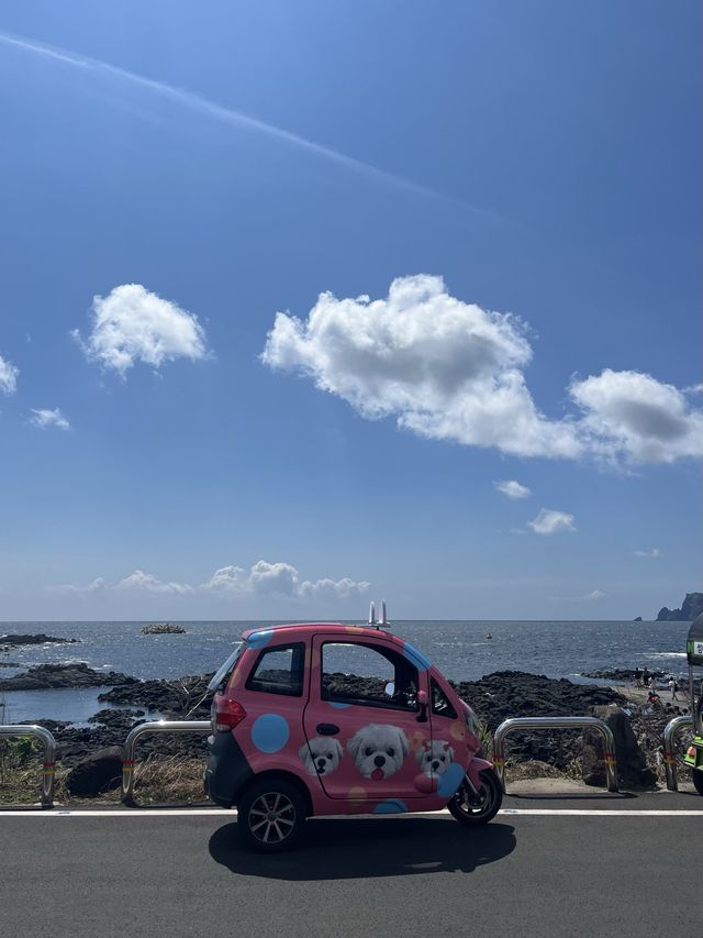 떠나자! 제주도 우도🏝️