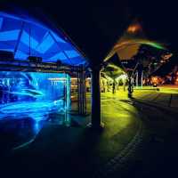 Journey to the Deep Sea Light Up Macau 