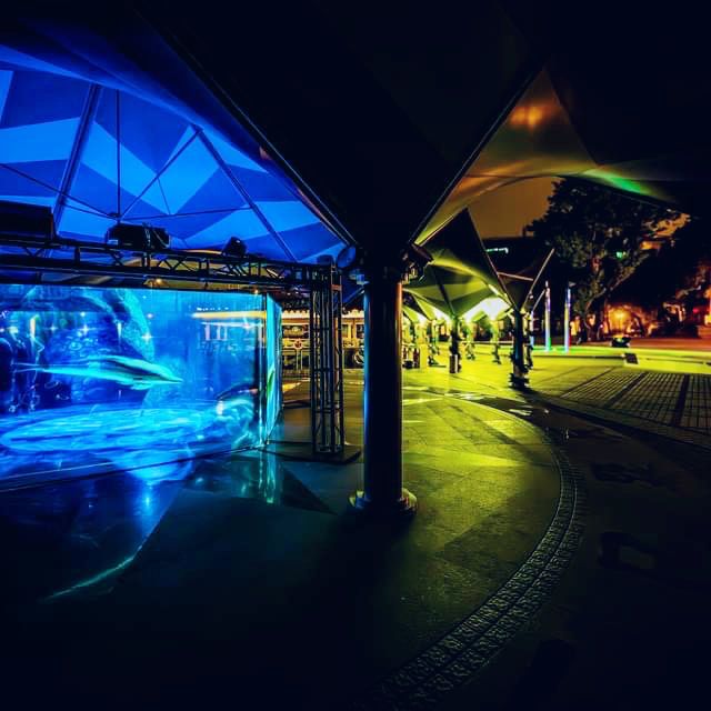 Journey to the Deep Sea Light Up Macau 