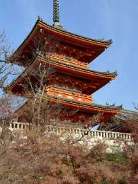 CoStudio | 京都清水寺 — 楓葉之美與人滿為患