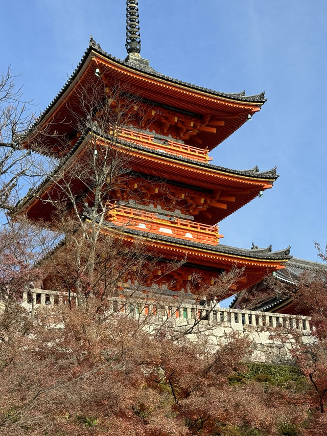 CoStudio | 京都清水寺 — 楓葉之美與人滿為患
