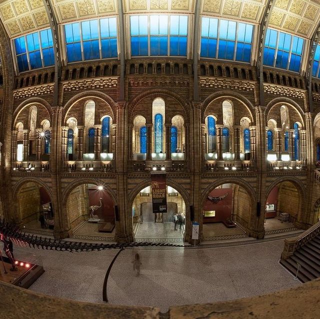 Natural History Museum 🇬🇧