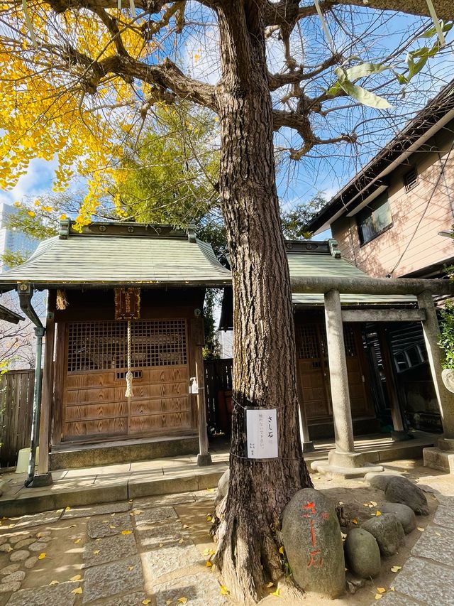 【東京都/於咲稲荷神社・波除稲荷神社】2023年行ってよかった！東京都の神社⑦