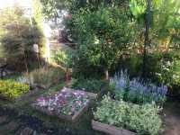 คาเฟ่ Nature Heal