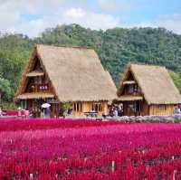 Beautiful day in Hokkaido Flower Park Khaoyai