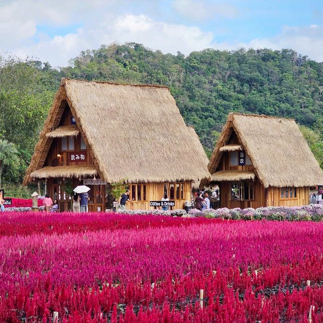 Beautiful day in Hokkaido Flower Park Khaoyai