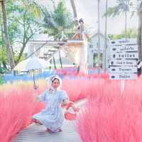Memory House Cafe ทุ่งหญ้าหลากสี