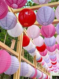 【福岡旅行】四季折々の花手水やお祭りごとを楽しめる素敵な神社