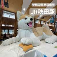 【秋田の玄関口】秋田県 秋田市 JR秋田駅 地域活性化を目指す街