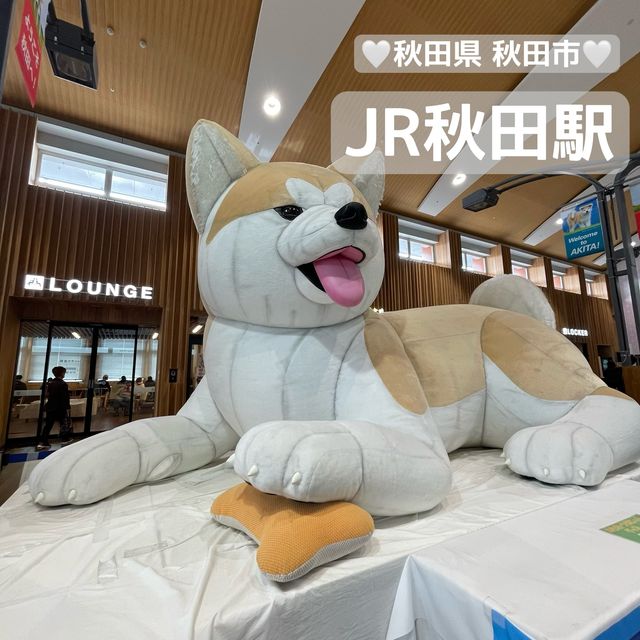 【秋田の玄関口】秋田県 秋田市 JR秋田駅 地域活性化を目指す街