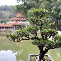 深圳仙湖植物園，愛花人士必到景點