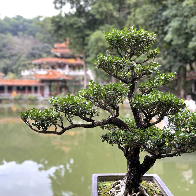 深圳仙湖植物園，愛花人士必到景點
