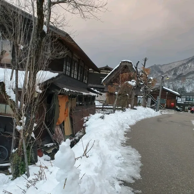 漫步日本夢幻山中村落【白川鄉合掌村】