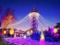 Enoshima Candle Light