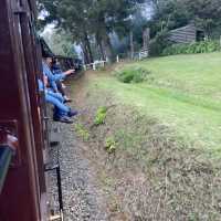 Puffing Billy Railway - Must in Melbourne 