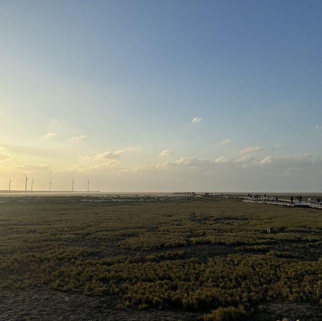 Taichung Port Windmill Farm 