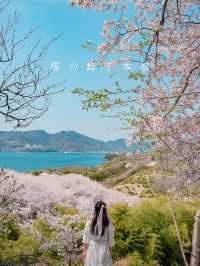 【広島】本当は教えたくない！瀬戸内海の離島にある絶景すぎる桜のトンネル！