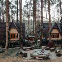 สวนสนบ่อแก้ว .เชียงใหม่   
