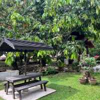 Nature Healing at Villa NurJannah Janda Baik