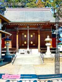 【仙波日枝神社/埼玉県】赤坂の日枝神社の本社