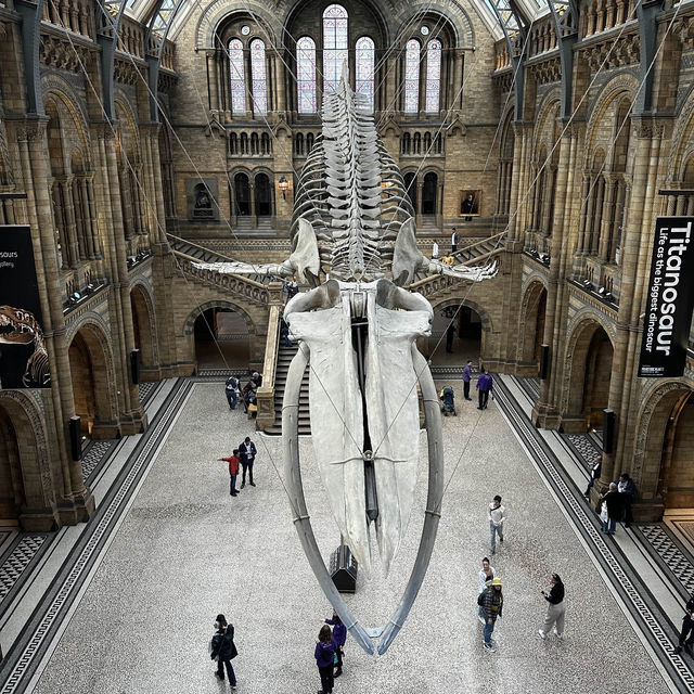 The Natural History Museum