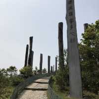 Infinite Serenity: Wisdom Path's Tranquil