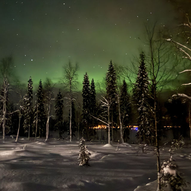 Celestial light dancing in the night!