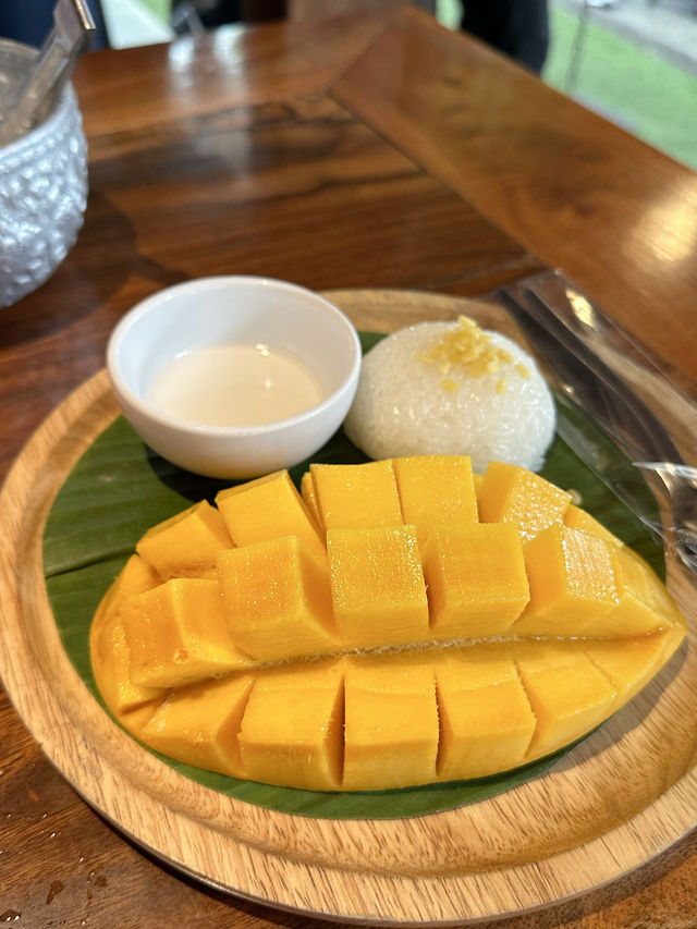 미슐랭 받은 맛집🥹 치앙마이 카오쏘이 님만