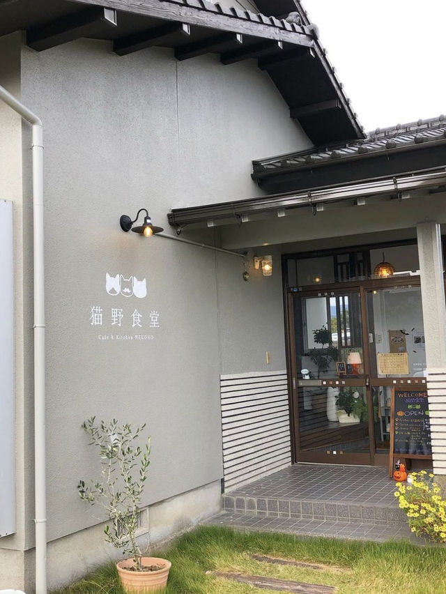 【佐賀カフェ】猫好きさんにはたまらない？可愛いがあちこちにあるお店🐾