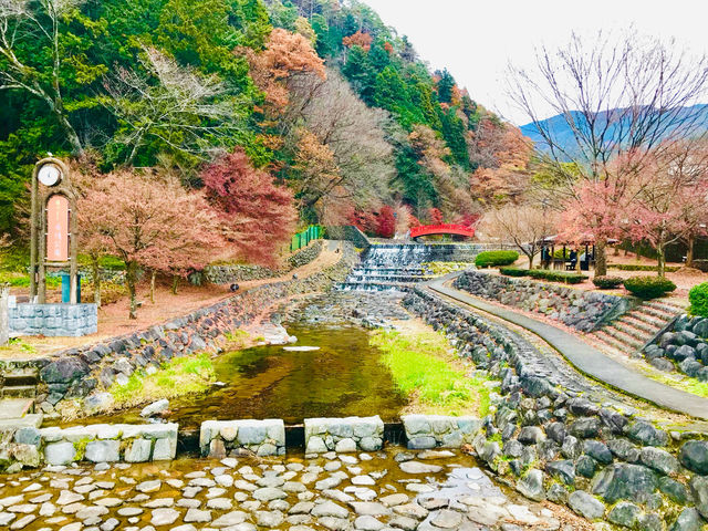 Shirakawa-go: A village frozen in time🇯🇵🏕️